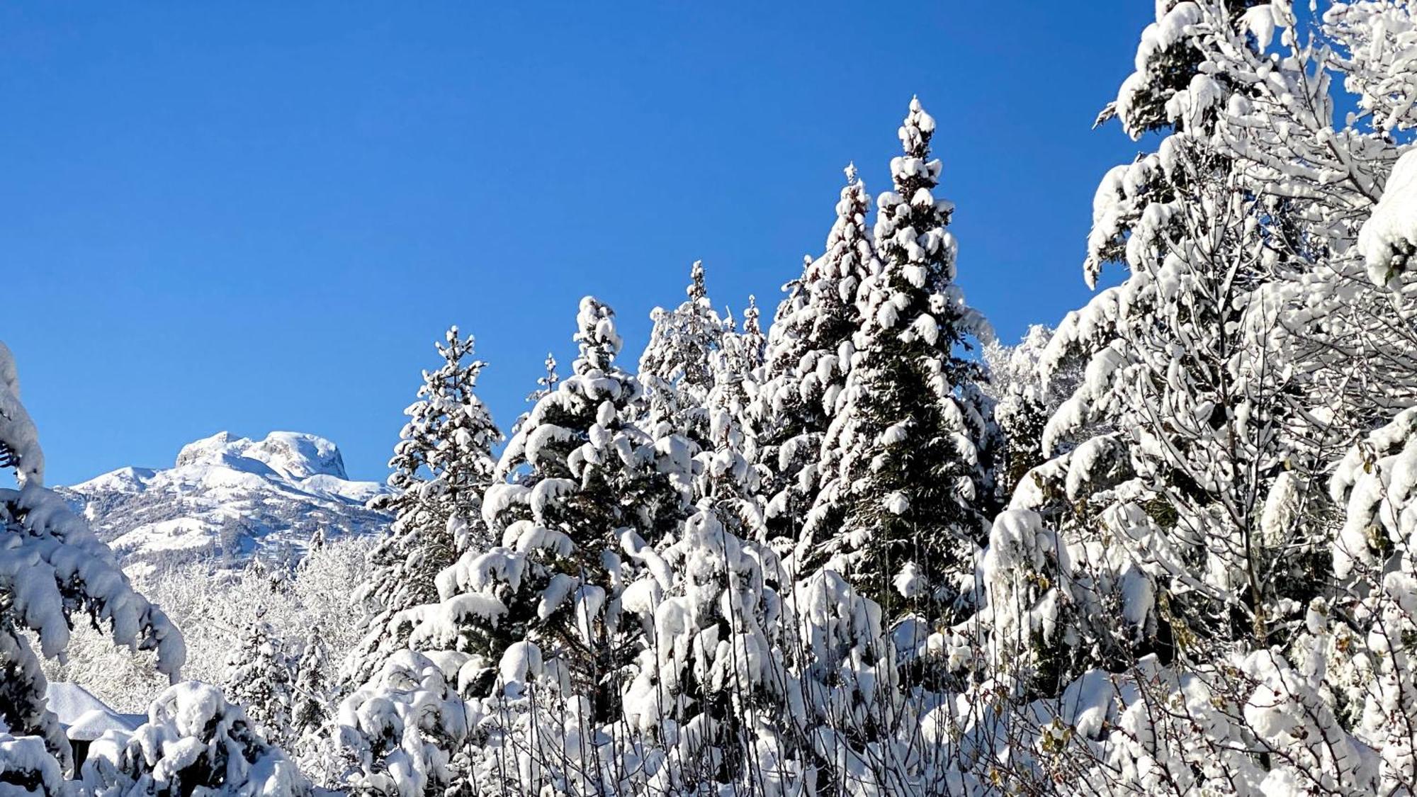 L'Intermede & En Toute Amitie - Les Gites De L'Argile Faucon-de-Barcelonnette Exteriör bild
